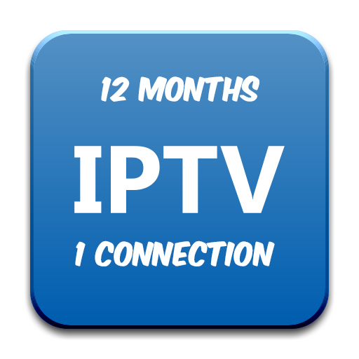 12 Months 1 connection