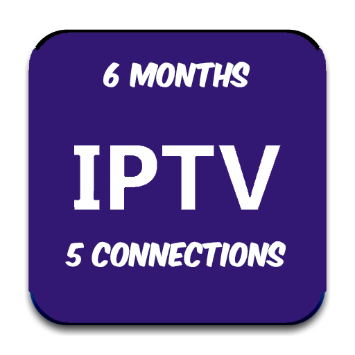 6 months 5 playlists